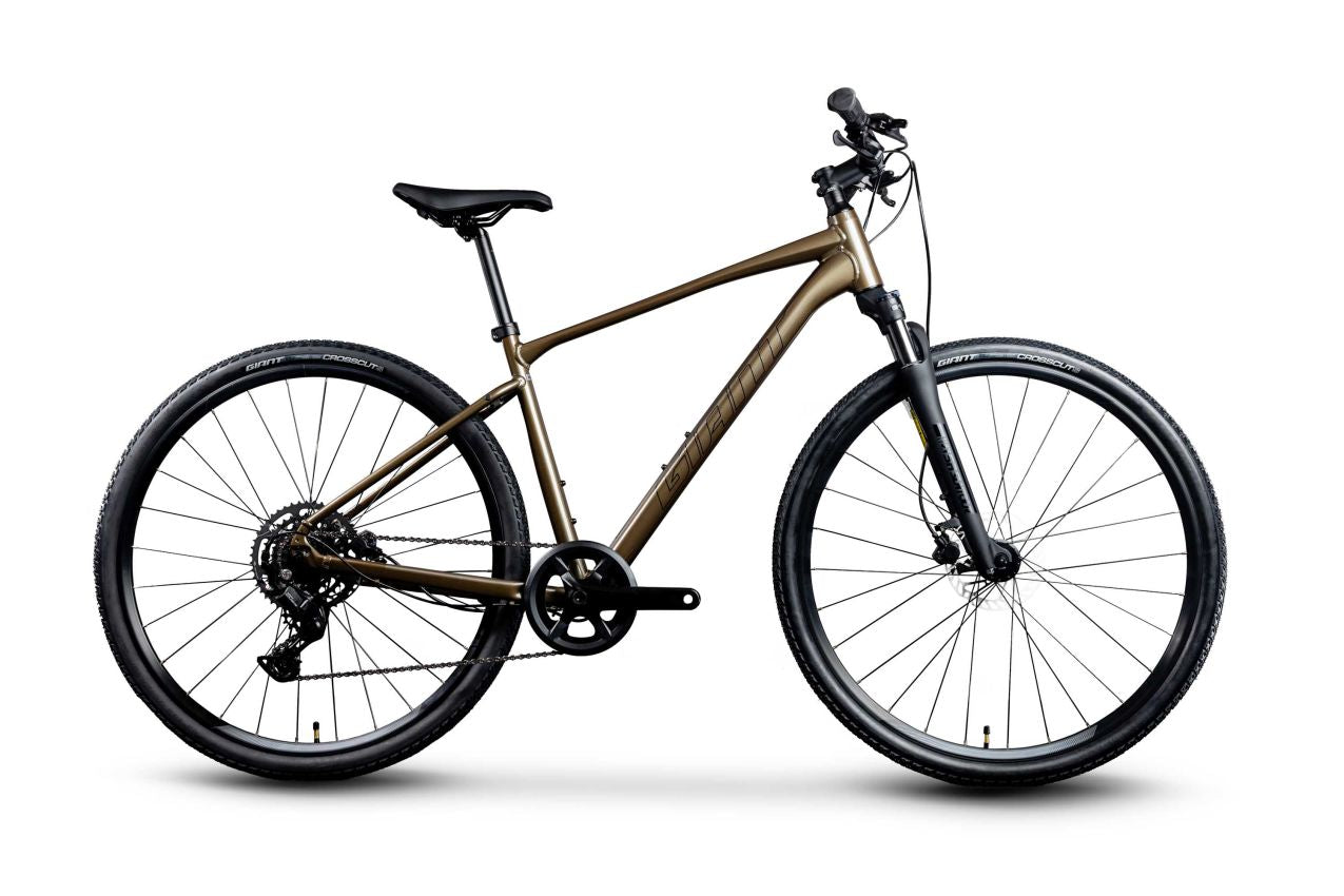 Giant Roam Disc (Pyrite Brown)