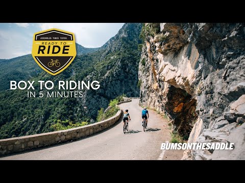 Trek Domane AL 2 Gen 4 (Matte Lithium Grey)