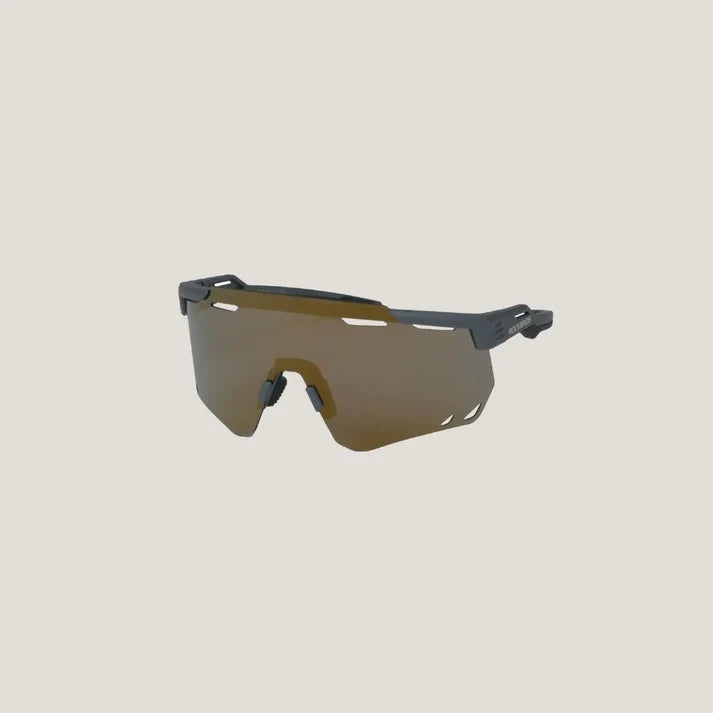Rockbros Polarizing Sunglasses (Gold/Grey)