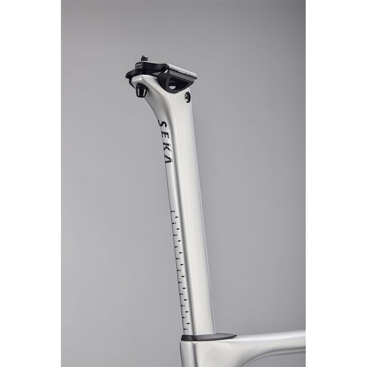 Sela Spear Frameset (Achromatic Silver)