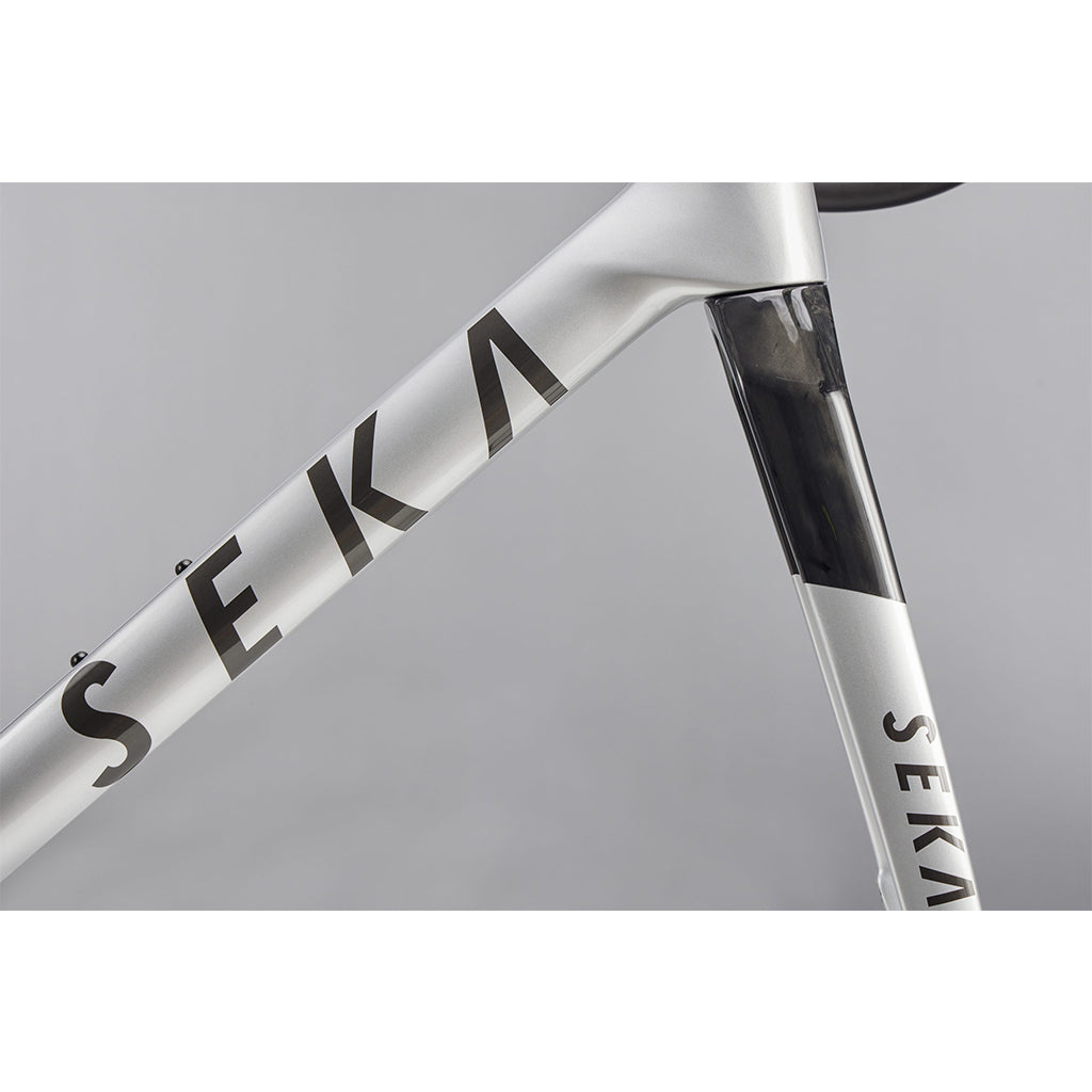 Sela Spear Frameset (Achromatic Silver)