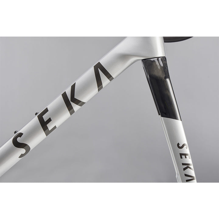 Sela Spear Frameset (Achromatic Silver)