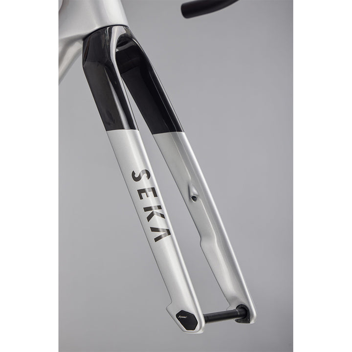 Sela Spear Frameset (Achromatic Silver)