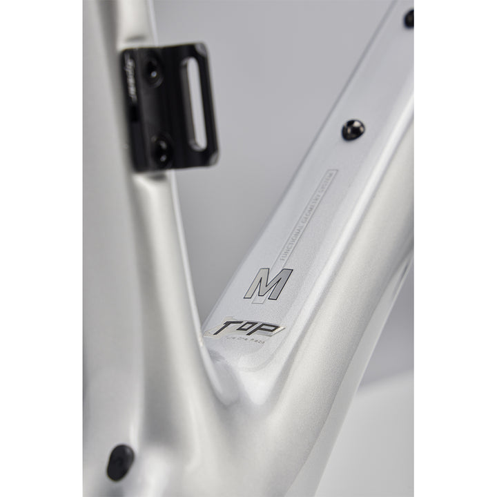 Sela Spear Frameset (Achromatic Silver)