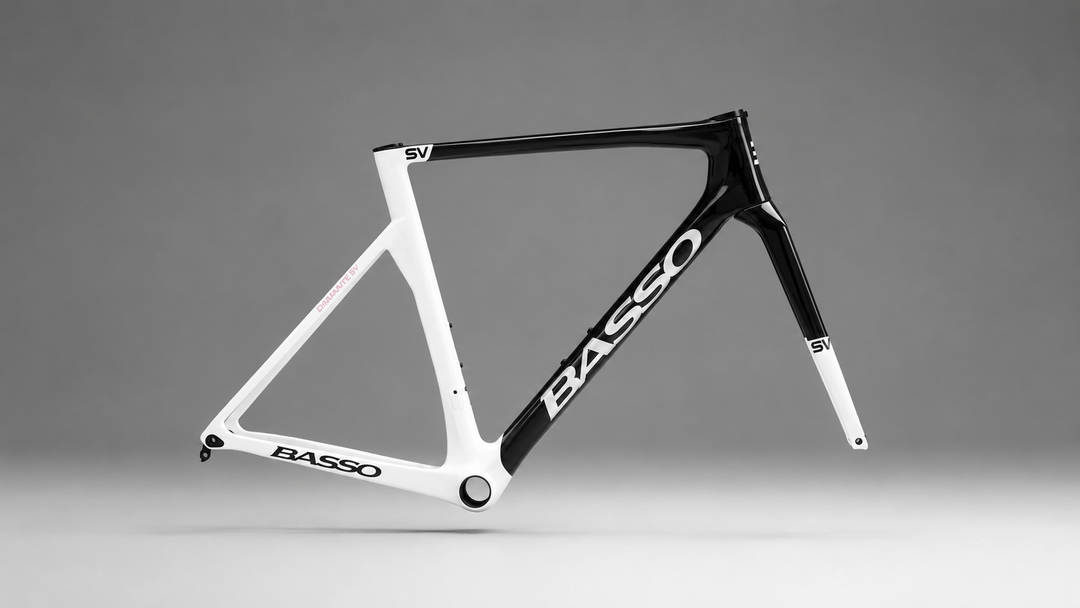 Basso Diamante SV Disc Signature Series Frameset (Mirko Borsche)