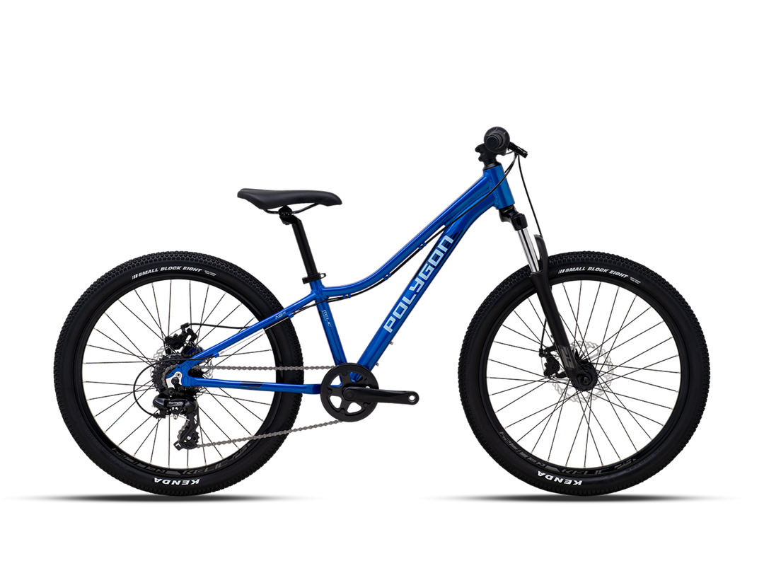 Polygon Relic 24 (Blue)