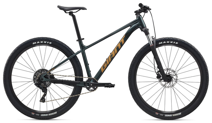Giant Talon 29 2 (Asphalt Green)