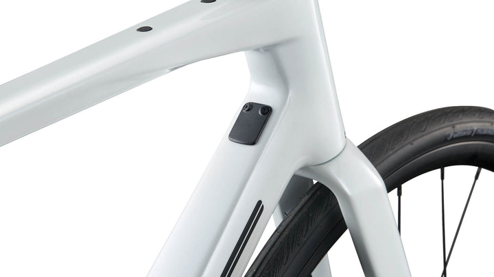 BMC Roadmachine 2 Gen 3 Metallic White endurance bike, rear triangle detail