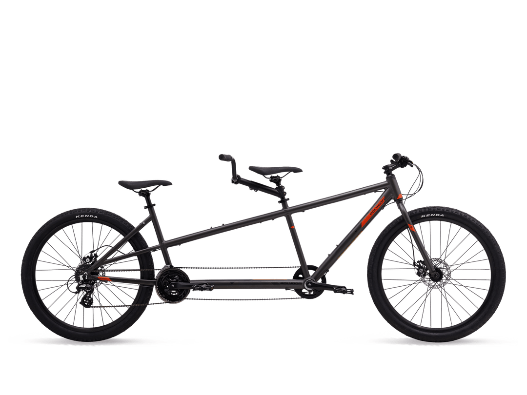 Polygon Impression AX Disc (Grey) - BUMSONTHESADDLE