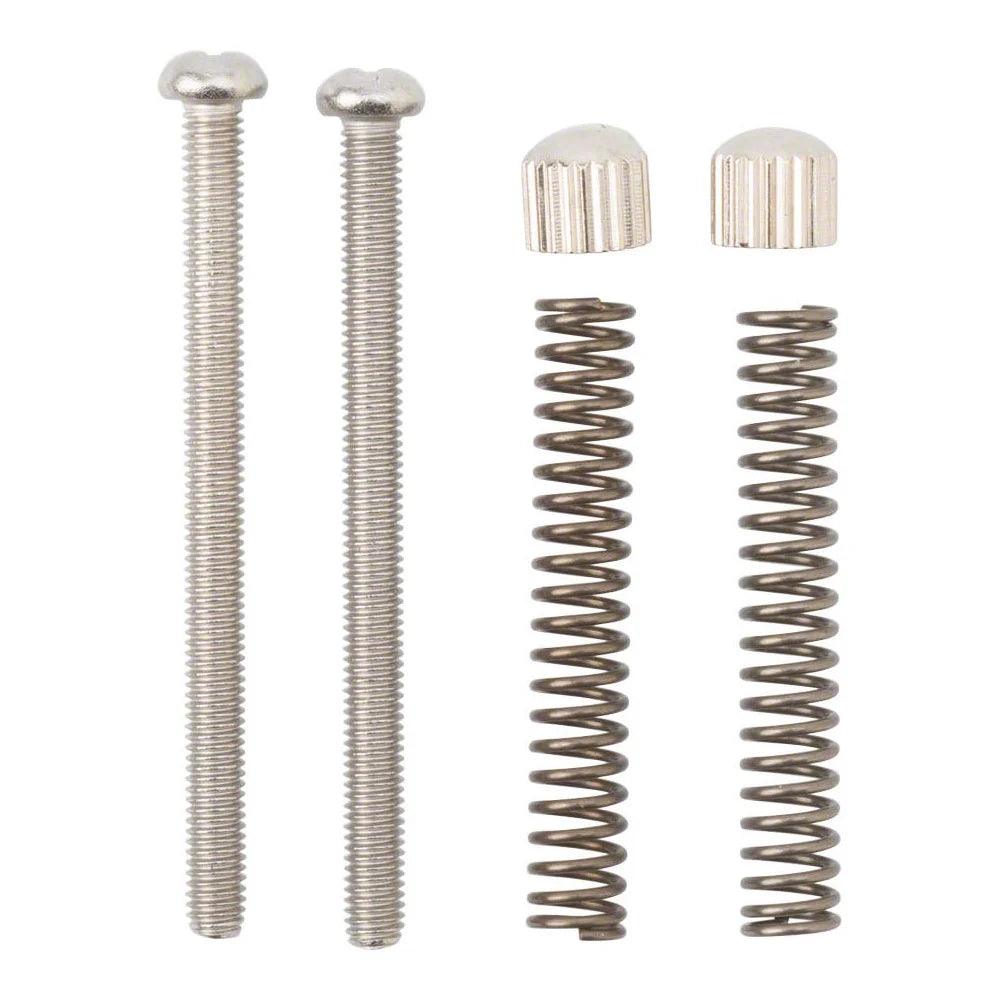 Surly Crosscheck Frame Replacement Dropout Screws - BUMSONTHESADDLE