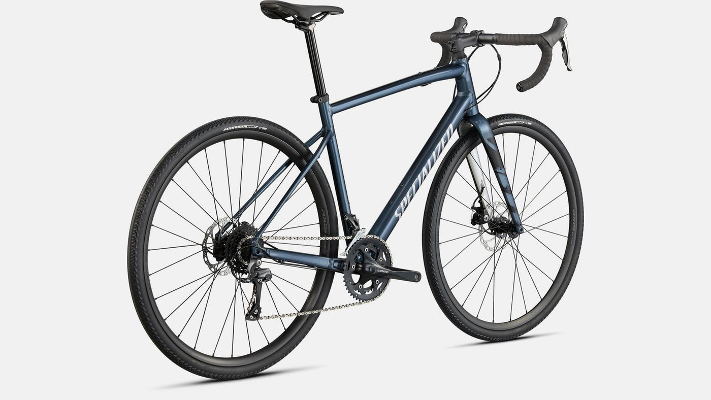 Specialized Diverge E5 (Silver Dust)