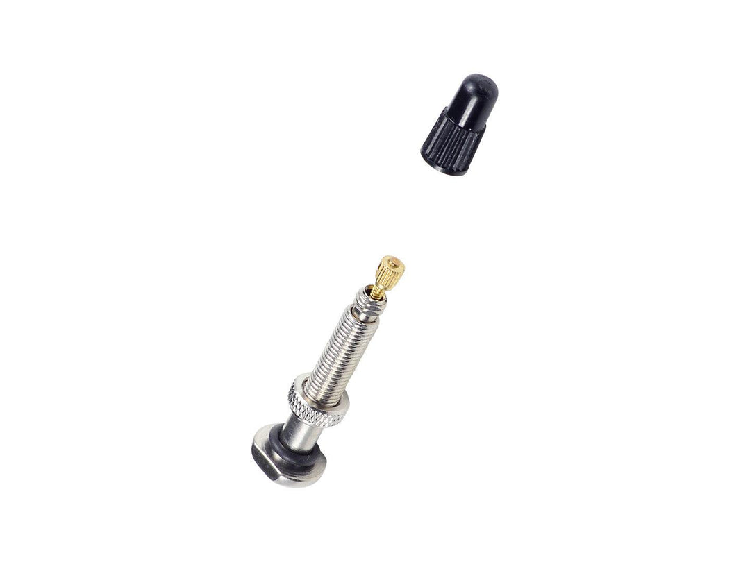 Bontrager Round Base TLR Valve Stem (Silver) - Main Image