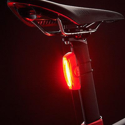 Cateye Rapid X2 Kinetic 15 Rear Light (Black) - BUMSONTHESADDLE