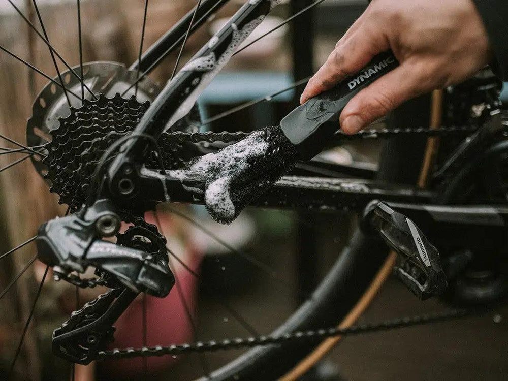 Dynamic Two Prong Brush - BUMSONTHESADDLE