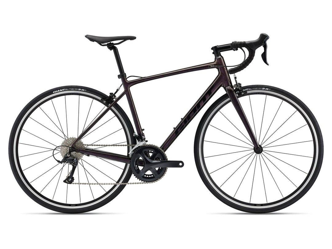 Buy Giant Contend 1 Aluminium Endurance Road Bicycle Online | Wide 