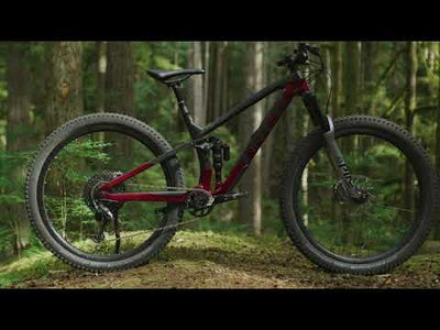 Trek Fuel EX 5 Gen 5 (Lithium Grey/Marigold)