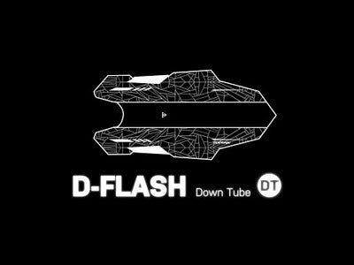 Topeak D Flash DT Fendors