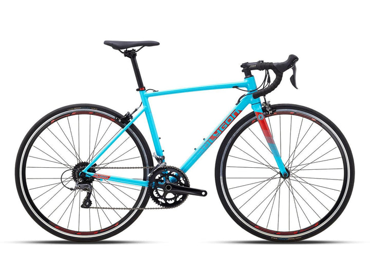 Polygon Strattos S2 (Blue) - BUMSONTHESADDLE
