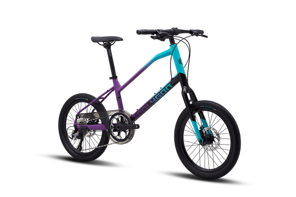 Polygon Zeta 2 (Purple/Black) - BUMSONTHESADDLE
