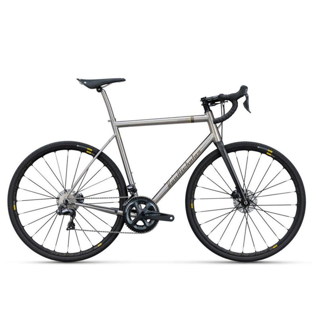 Van Nicholas Yukon Titanium Audax Disc Frameset - BUMSONTHESADDLE